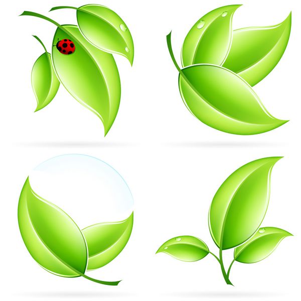 نمادهای مفهومی اکولوژی سبز با برگ و سایه برای طراحی شما