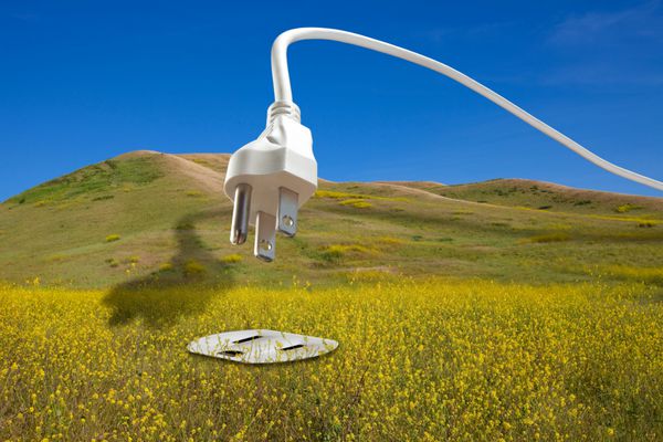 مفهوم انرژی زیستی پاک تجدیدپذیر سیم برق سفید بزرگی که در آسمان آبی قوس می‌یابد و در یک دوشاخه برق قرار می‌گیرد که در مزرعه‌ای از محصولات خردل سوخت زیستی قرار دارد