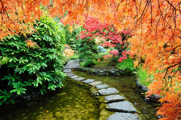 برکه و مسیر باغ ژاپنی در داخل باغ های تاریخی معروف بوچارت ساخته شده در سال 1903 جزیره ونکوور بریتیش کلمبیا کانادا