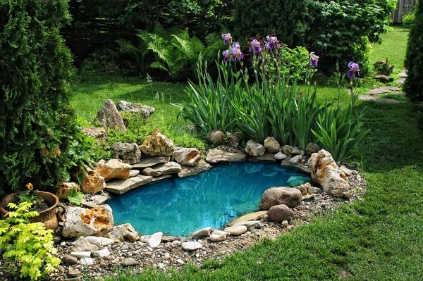حوض کوچک در یک روز تابستانی در باغ