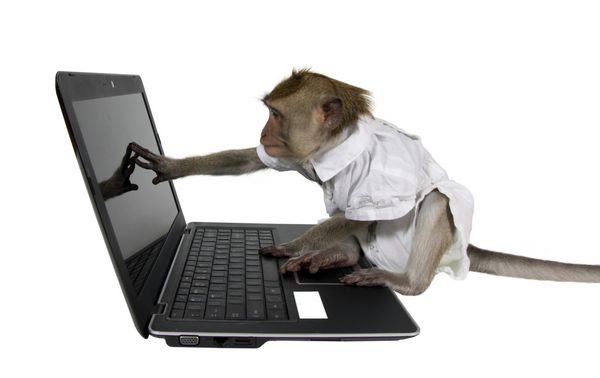 یک میمون با کت و شلوار تجاری که پشت یک لپ تاپ نشسته است