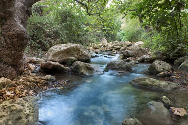 نهر با s در موتین تاری در رودخانه kziv در شمال گالیله