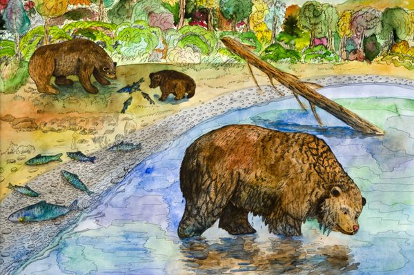 نقاشی خرس در ماهیگیری