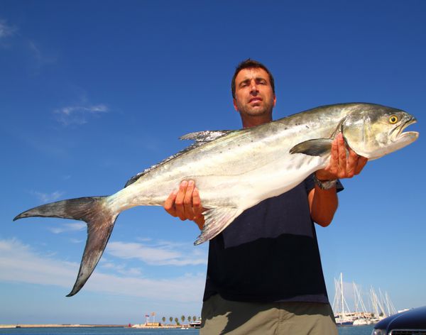 ماهیگیر در دست گرفتن گارریک لیشیا آمیا لیرفیش لیرویس فیش جک