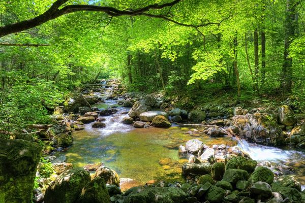 عکس طلوع خورشید دریا