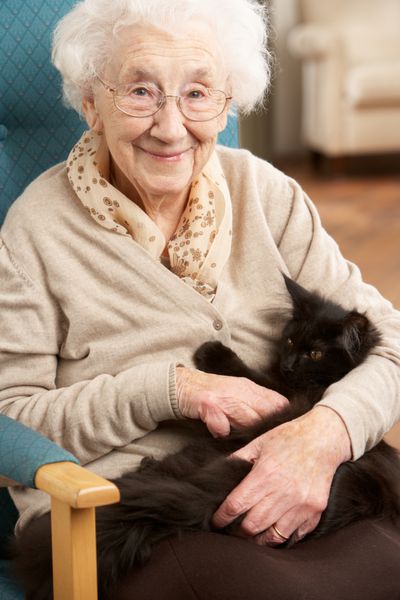 زن ارشد در حال استراحت روی صندلی در خانه با گربه خانگی