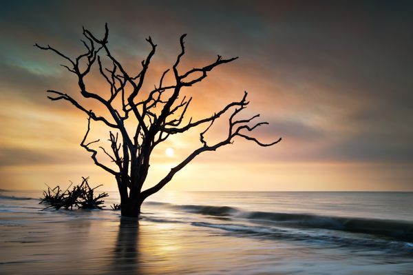 طلوع آفتاب در حیاط استخوانی در ساحل خلیج گیاه شناسی در جزیره ادیستو SC با درختان زنده مرده درخت بلوط در امواج اقیانوس