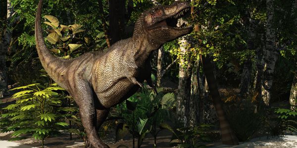 شکار t-rex - یک تیرانوزاروس قدرتمند رکس در جنگلی متراکم به دنبال طعمه می‌رود