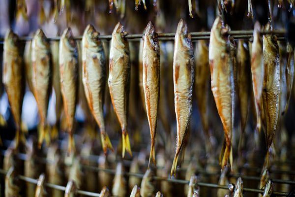 ماهی دودی سرد صنایع غذایی