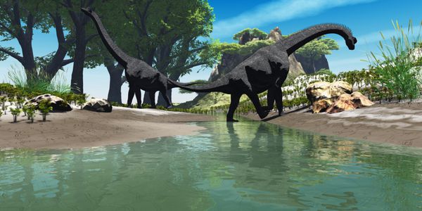دایناسور brachiosaurus - دو دایناسور تایتانیک براکیوزاروس در کنار رودخانه به دنبال غذا می گردند