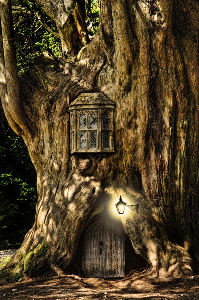 خانه فانتزی افسانه ای در تنه درخت در جنگل