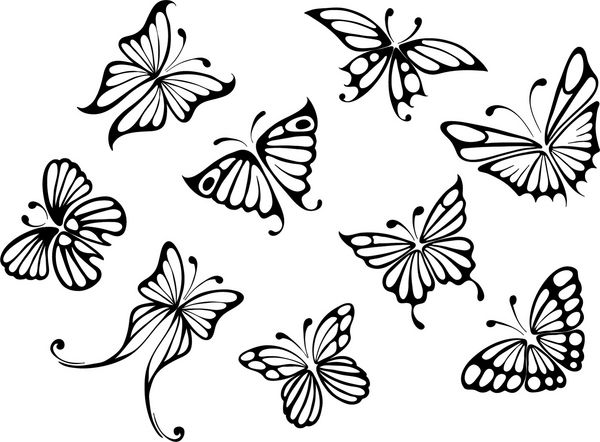 مجموعه -- پروانه ها