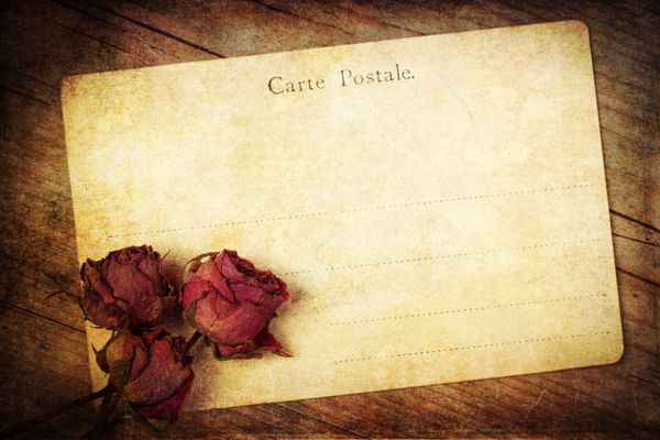 کارت پستال قدیمی با گل رز خشک و بافت گرانج
