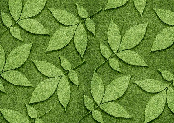 مفهوم بوم شناسی برگ های سبز ایجاد شده از علفزار