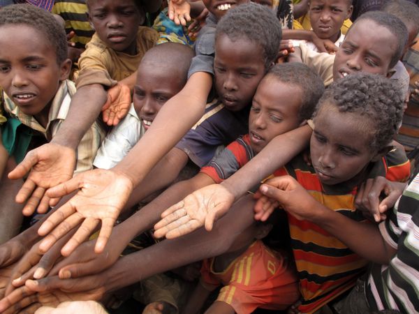 داداب سومالی - 15 آگوست کودکان ناشناس دستان خود را در اردوگاه پناهندگان داداب دراز می کنند جایی که هزاران سومالیایی به دلیل گرسنگی در 15 اوت 2011 در داداب سومالی در انتظار کمک هستند