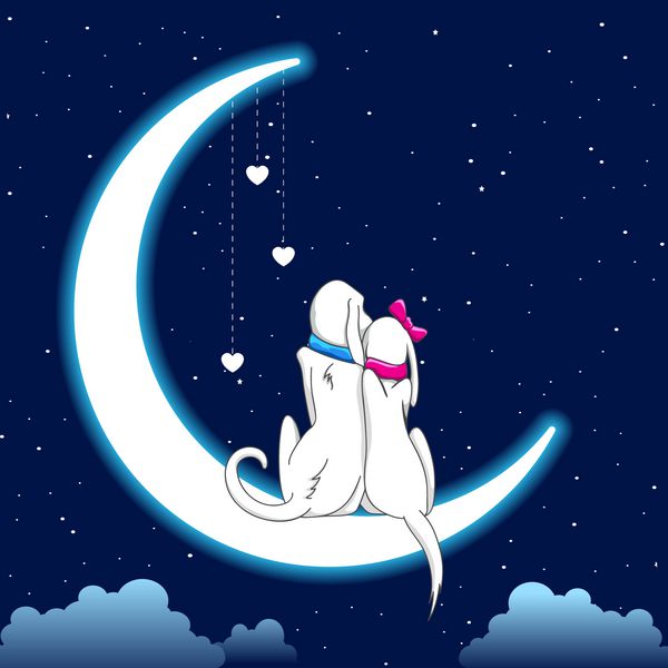 تصویر زوج سگی که در شب عاشقانه روی ماه نشسته اند