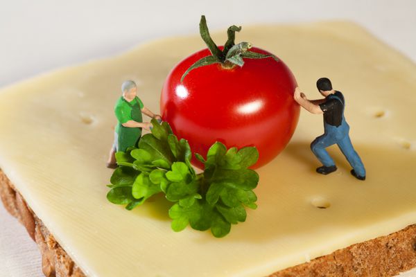 مجسمه های مدل مینیاتوری تهیه ساندویچ پنیر تازه با سبزیجات و گوجه فرنگی