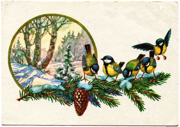 اتحاد جماهیر شوروی - حدوداً 1978 کارت پستال چاپ شده در اتحاد جماهیر شوروی نشان می دهد که توسط پاپوف طراحی شده است - موش گز بر روی شاخه صنوبر در پس زمینه جنگل پوشیده از برف در حدود 1978 می نشیند
