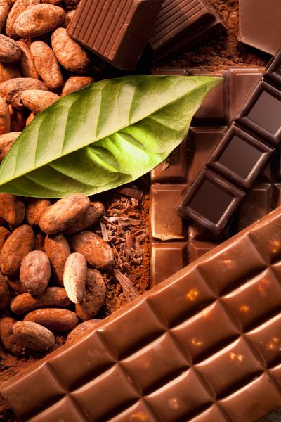 شکلات های مختلف روی پودر کاکائو