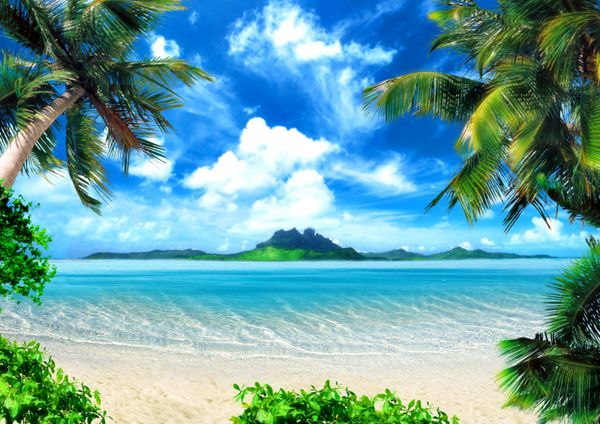 ساحل گرمسیری ساحل با درختان نخل آویزان منظره دریا جزیره سبز و آسمان با ابرهای بزرگ نورپردازی جادویی