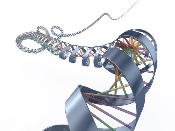 مارپیچ انتزاعی مفهومی سه بعدی کد ژنتیک DNA