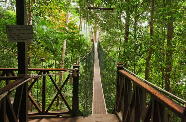 راهرو سایبان پارک ملی تامان نگارا مالزی