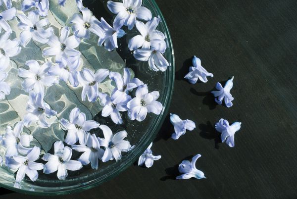 گل های سنبل شناور در کاسه رایحه درمانی