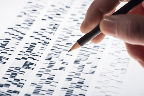 دانشمندان ژل dna را که در ژنتیک پزشکی زیست شناسی تحقیقات دارویی و پزشکی قانونی استفاده می شود مورد بررسی قرار دادند