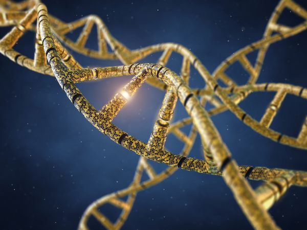 مولکول های DNA اصلاح شده ژنتیکی GMO مهندسی ژنتیک