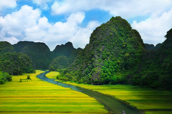 مزرعه برنج و رودخانه ninhbinh مناظر ویتنام