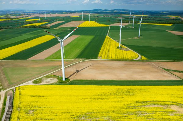 نمای هوایی آسیاب‌های بادی در مزرعه زرد کولزا