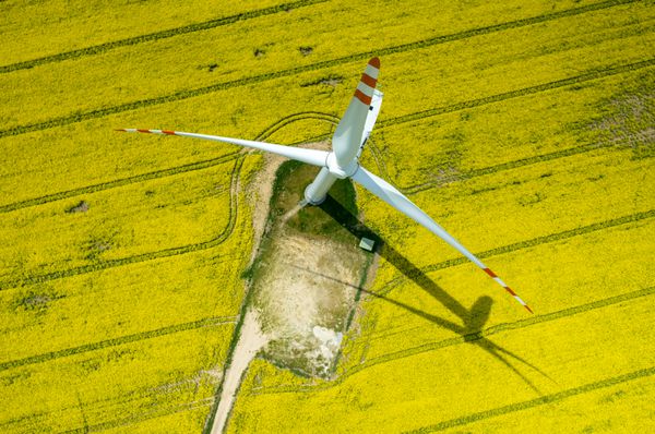 نمای هوایی آسیاب‌های بادی در مزرعه زرد کولزا