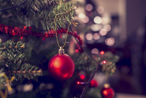 نمای نزدیک از چوب دستی قرمز آویزان شده از درخت کریسمس تزئین شده اثر فیلتر رترو
