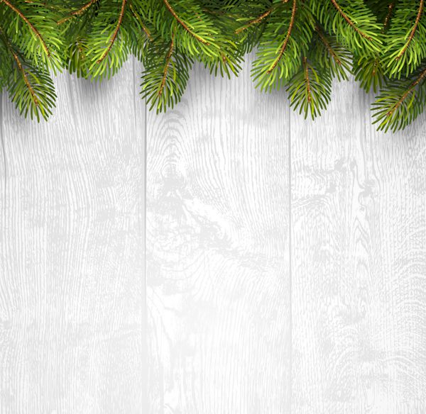 پس زمینه چوبی کریسمس با شاخه های صنوبر وکتور