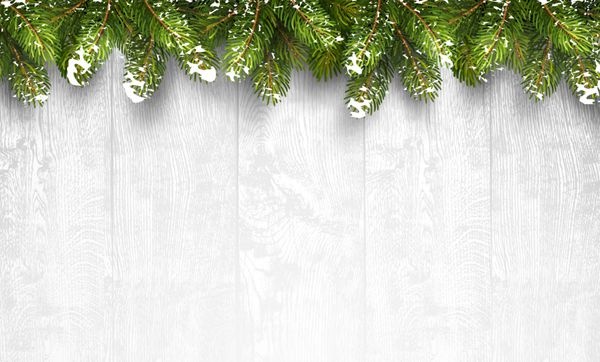 پس زمینه چوبی کریسمس با شاخه های صنوبر و برف وکتور