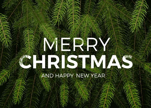 برچسب زمستانی بزرگ با شاخه های درخت صنوبر سبز واقعی پس زمینه تعطیلات با شاخه های درخت کریسمس و تصویر متن تبریک