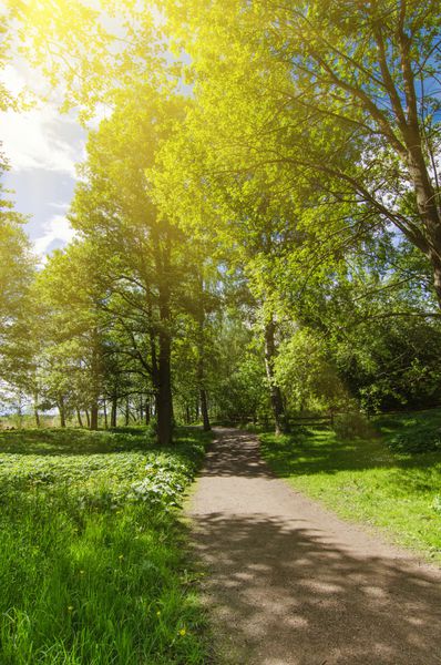 پارک اسکاندیناوی بهار آفتابی سبز با مسیر پیاده‌روی پس‌زمینه فصلی طبیعی آرام
