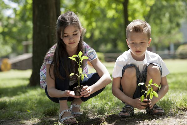 کودکان در حال کاشت درخت جدید مفهوم زندگی جدید حفاظت از محیط زیست