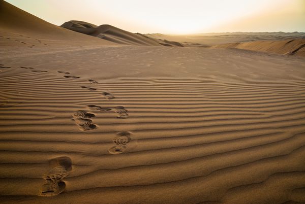 رد پا در شن و ماسه هنگام طلوع خورشید در صحرای رملت السبطین یمن