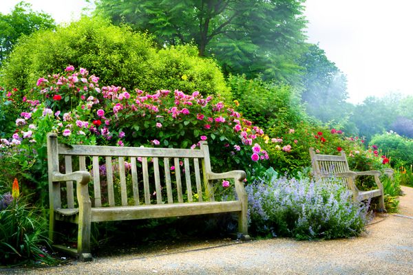 نیمکت هنری و گل در صبح در یک پارک انگلیسی