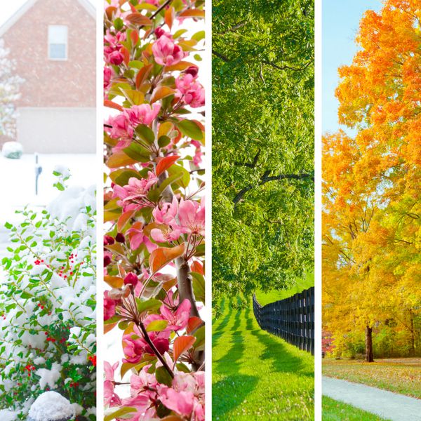 کلاژ چهار فصل مجموعه ای از مناظر زیبا در زمستان بهار تابستان و پاییز