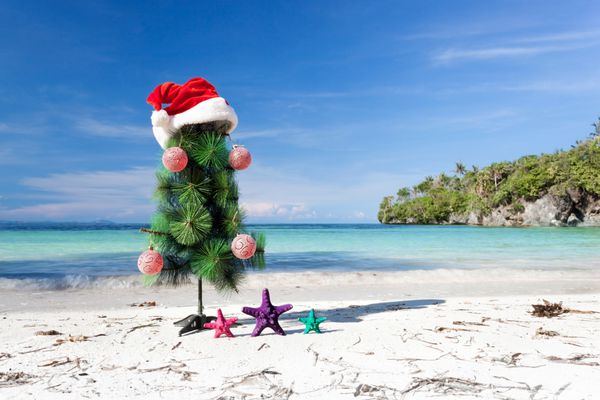 درخت کریسمس و کلاه بابا نوئل در ساحل عالی جشن سال نو