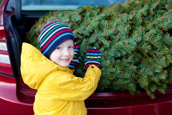 پسر بچه شادی که درخت کریسمس را در دست گرفته است
