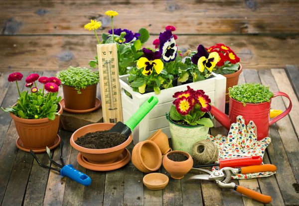 ابزار باغبانی و گل