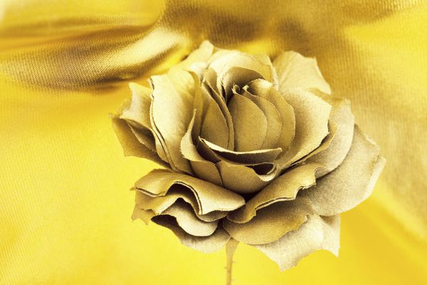 تصویری از گل رز طلایی