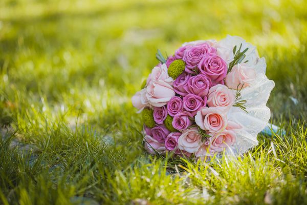 عکس دسته گل عروسی دسته گل عروسی از رزهای صورتی و سفید که روی چمن دراز کشیده اند