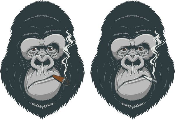 میمون با سیگار