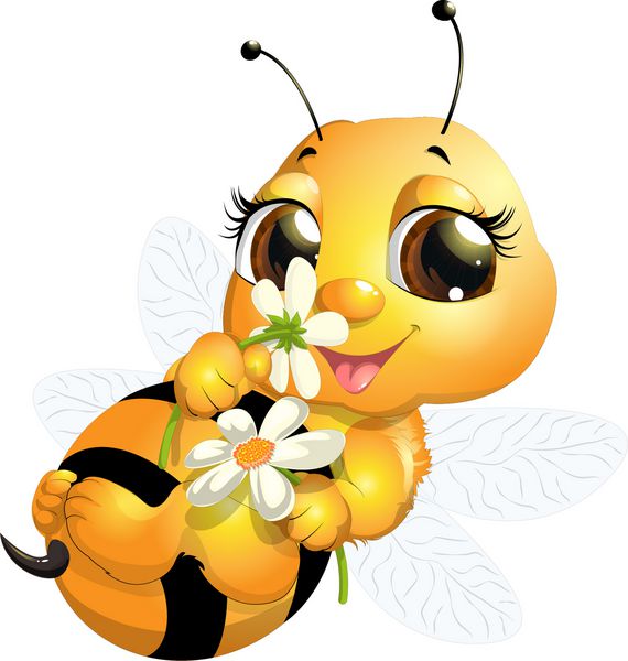 زنبور زیبا که ناریسوانا در پس زمینه سفید