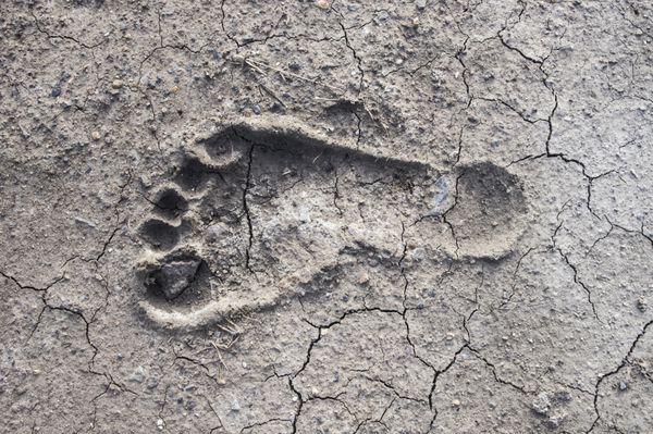 رد پای انسان در خاک ترک خشک باعث خشکسالی می شود