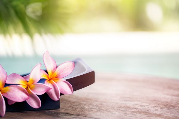 گل آبگرم گرمسیری frangipani پس زمینه آبگرم و سلامتی
